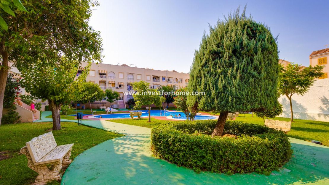 Sale - Apartment - Torrevieja - Playa del Acequión