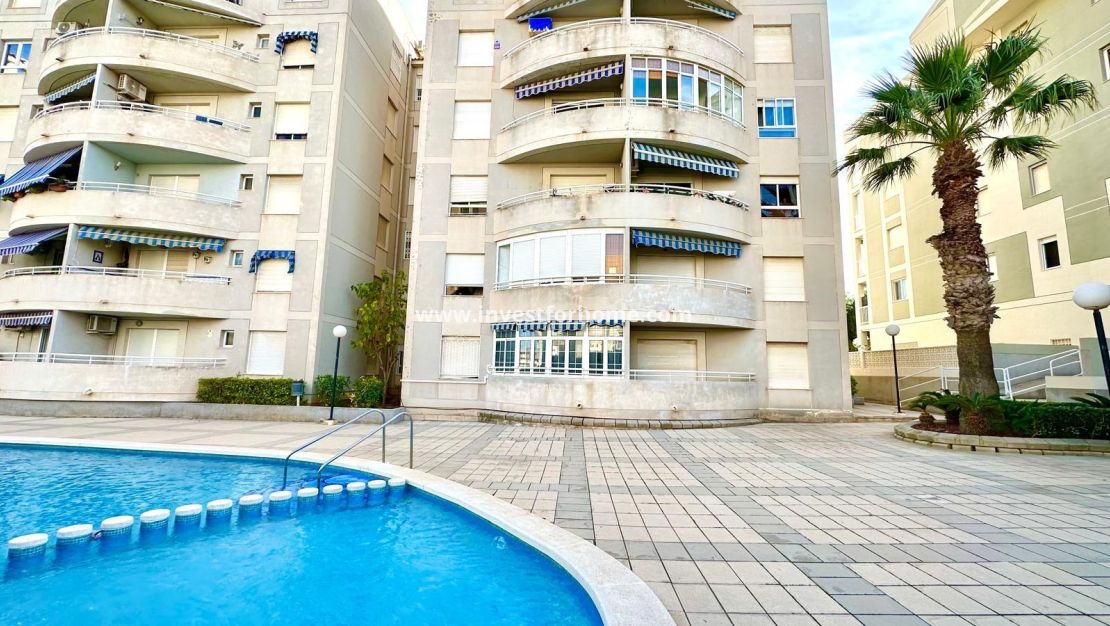 Sale - Apartment - Torrevieja - Playa del Cura