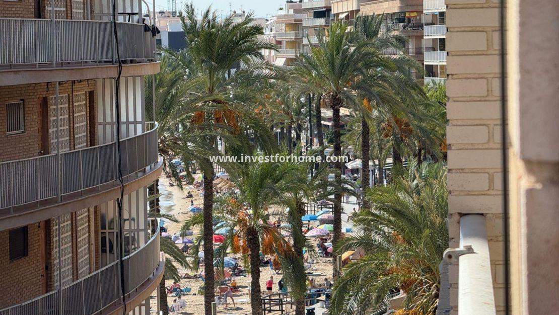 Sale - Apartment - Torrevieja - Playa del Cura