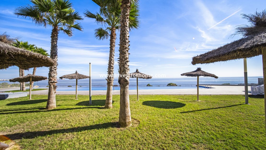Sale - Apartment - Torrevieja - Punta prima
