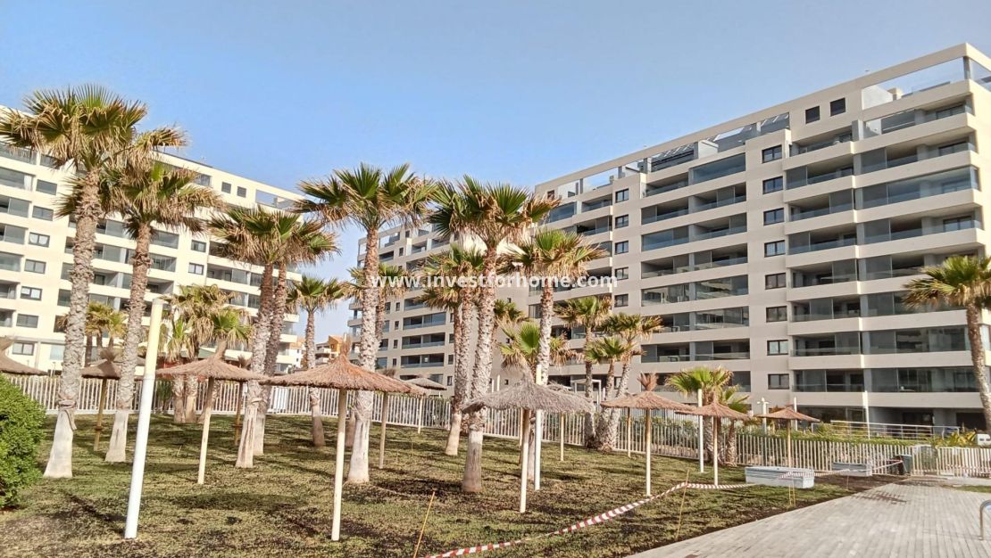Sale - Apartment - Torrevieja - Punta prima