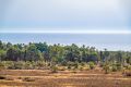 Sale - Apartment - Torrevieja - Punta prima