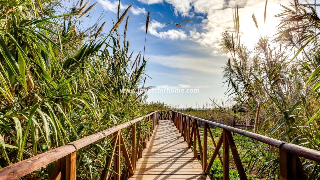 Sale - Apartment - Torrevieja - Torrelamata - La Mata