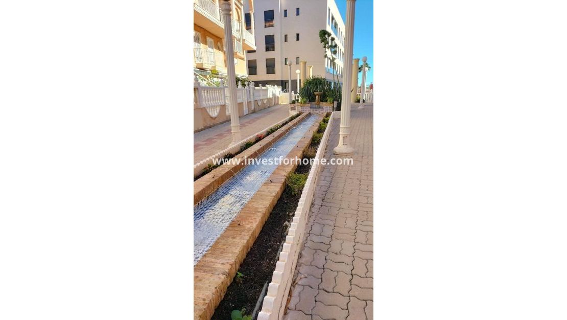 Sale - Apartment - Torrevieja - Torrelamata - La Mata