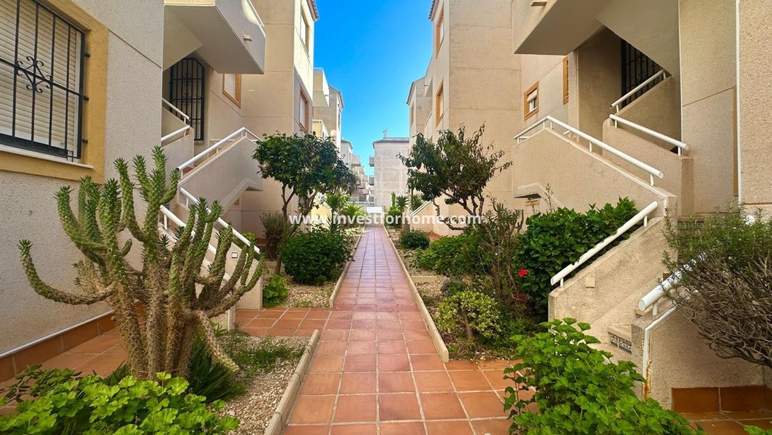 Sale - Apartment - Torrevieja - Torrelamata - La Mata