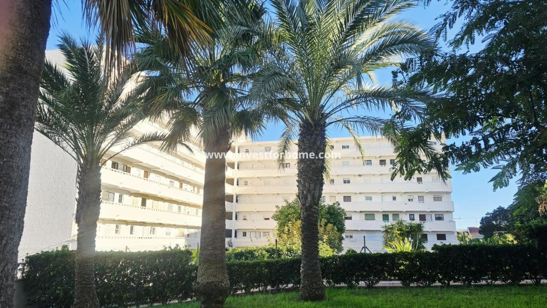 Sale - Apartment - Torrevieja - Torrelamata - La Mata