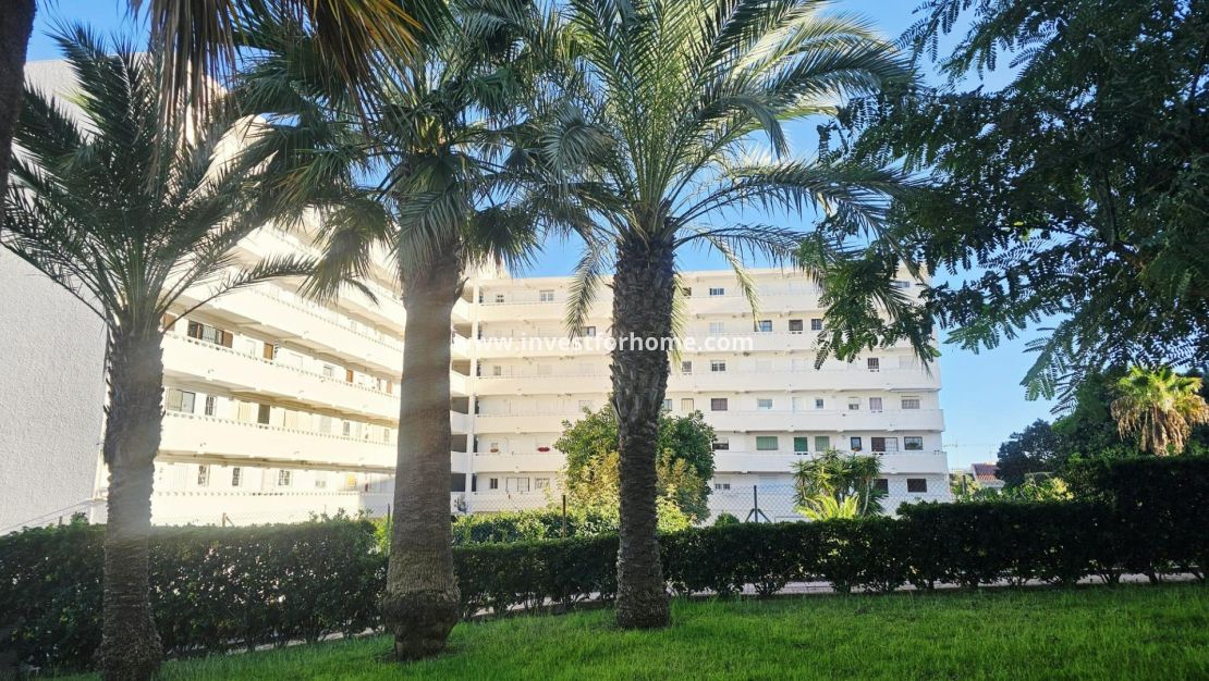 Sale - Apartment - Torrevieja - Torrelamata - La Mata