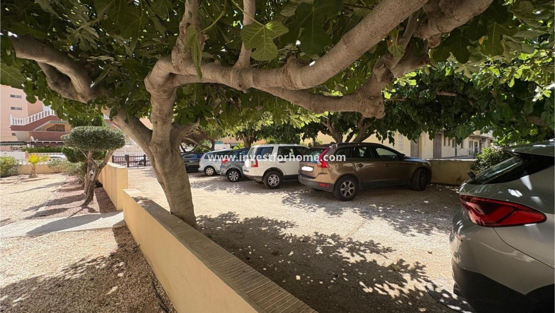 Sale - Apartment - Torrevieja - Torrelamata - La Mata