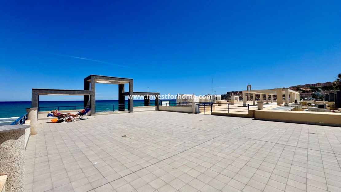 Sale - Apartment - Torrevieja - Torrelamata - La Mata