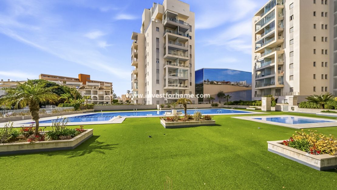 Sale - Apartment - Torrevieja - Torrelamata - La Mata