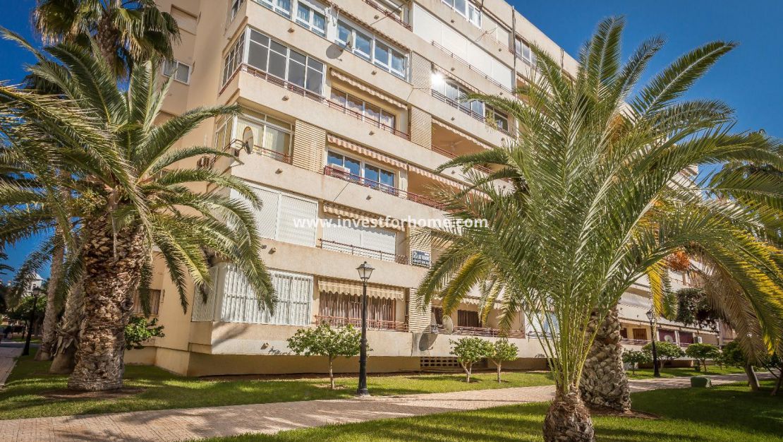 Sale - Apartment - Torrevieja