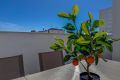 Sale - Apartment - Torrevieja
