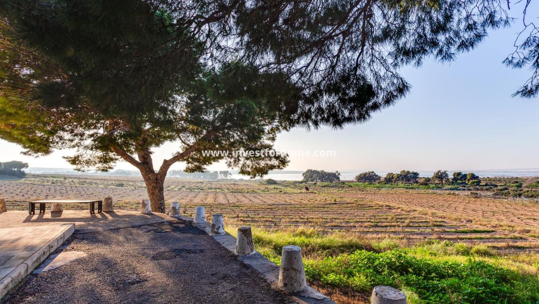 Sale - Bungalow - Torrevieja - La Siesta - El Salado - Torreta