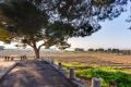 Sale - Bungalow - Torrevieja - La Siesta - El Salado - Torreta