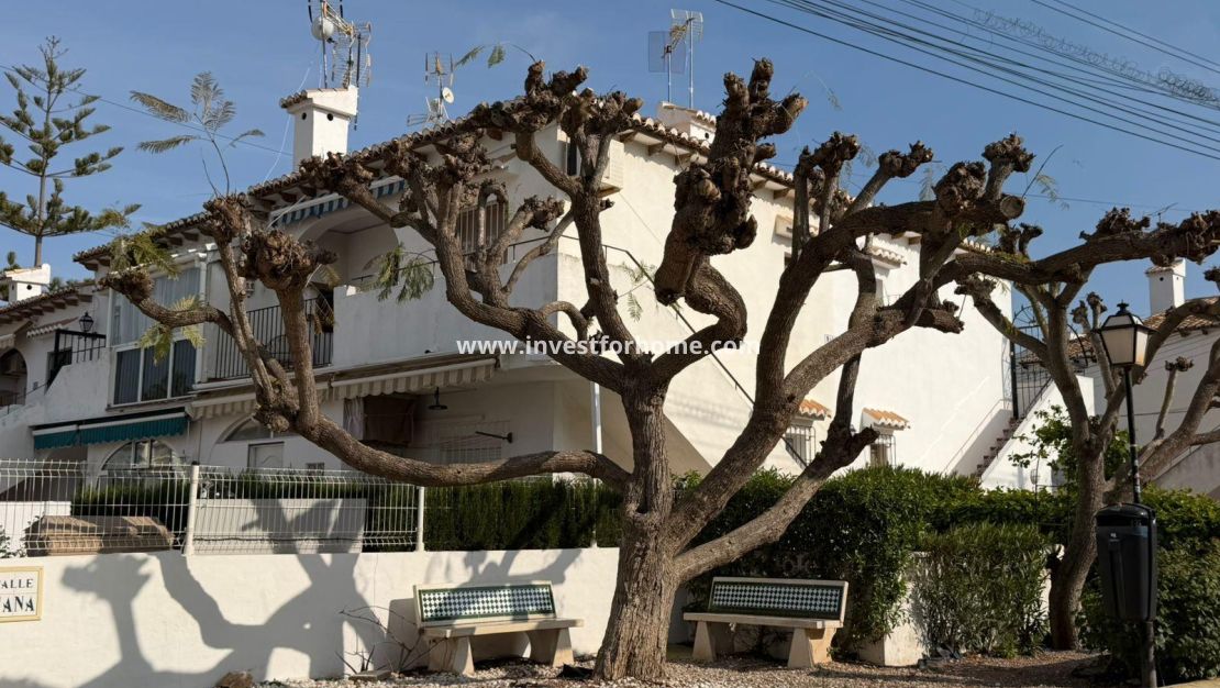 Sale - Bungalow - Torrevieja - Los Balcones