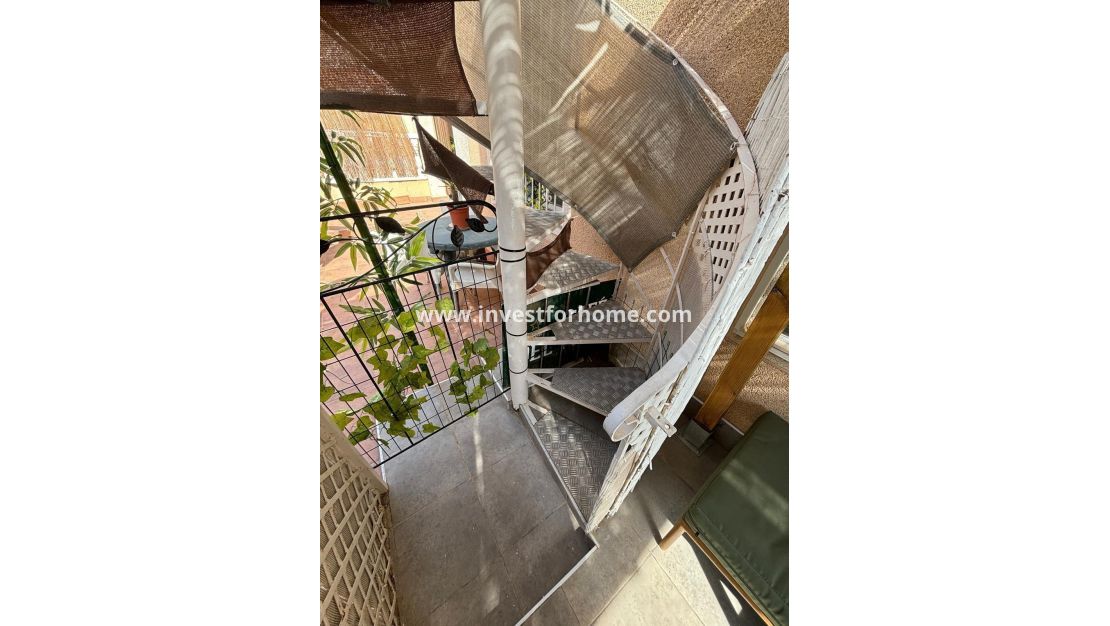 Sale - Bungalow - Torrevieja - Los Balcones