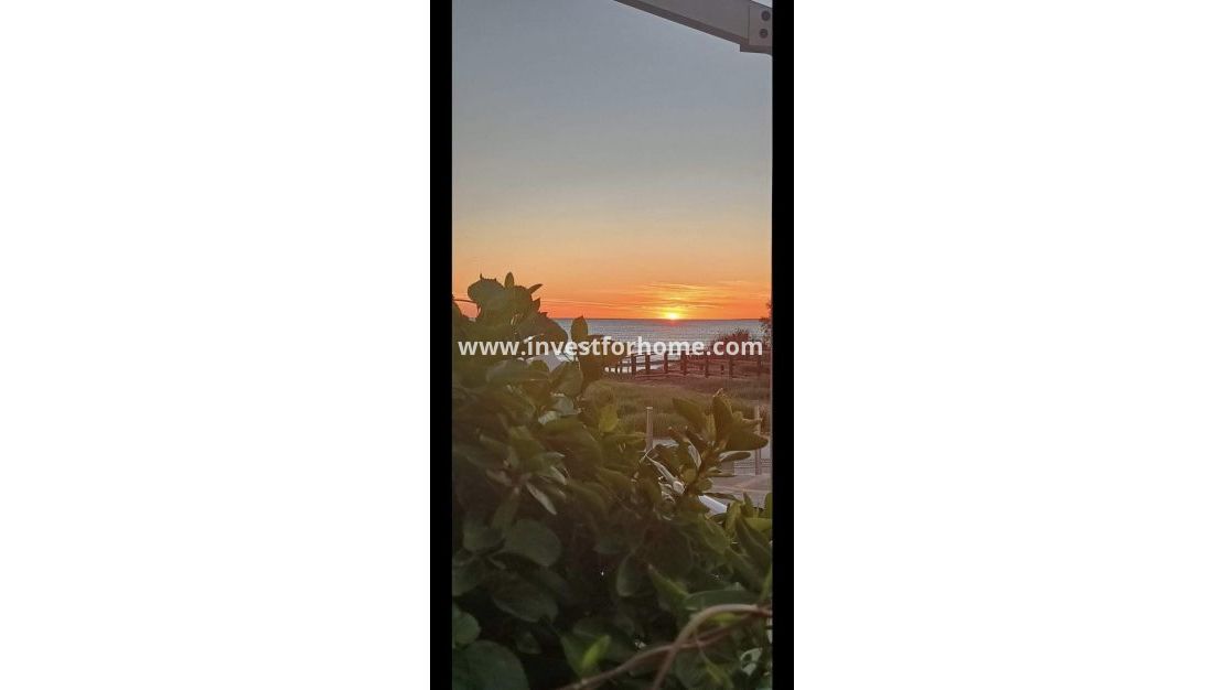 Sale - Bungalow - Torrevieja - Torrelamata - La Mata