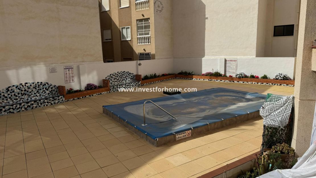 Sale - Estudio - Torrevieja - Playa de Los Locos-Curva del Palangre