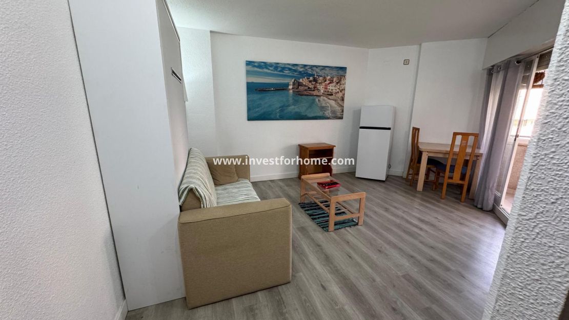 Sale - Estudio - Torrevieja - Playa de Los Locos-Curva del Palangre