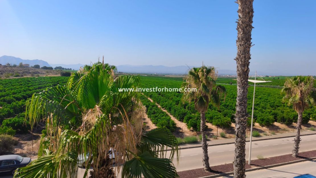 Sale - House - Algorfa - Inland