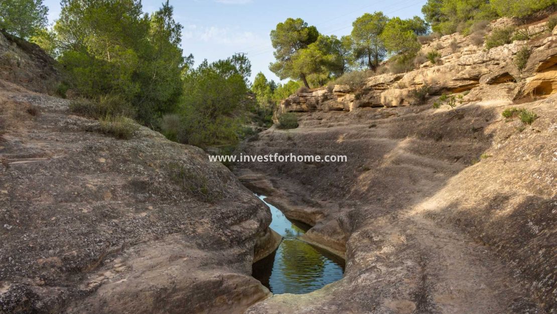 Sale - House - Algorfa - La finca Golf
