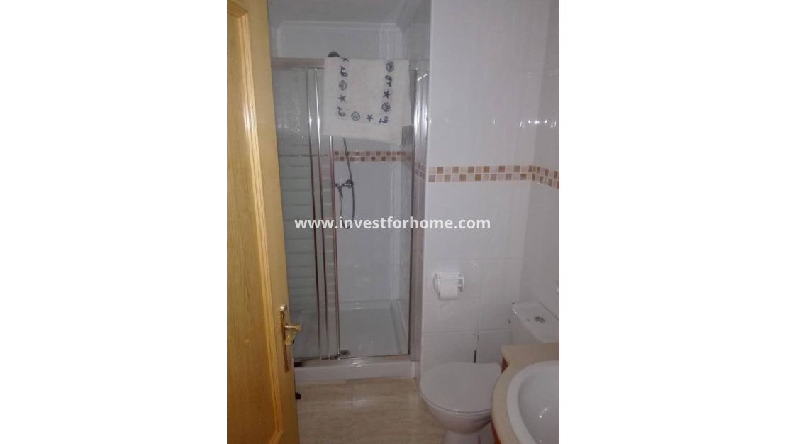 Sale - House - Daya vieja