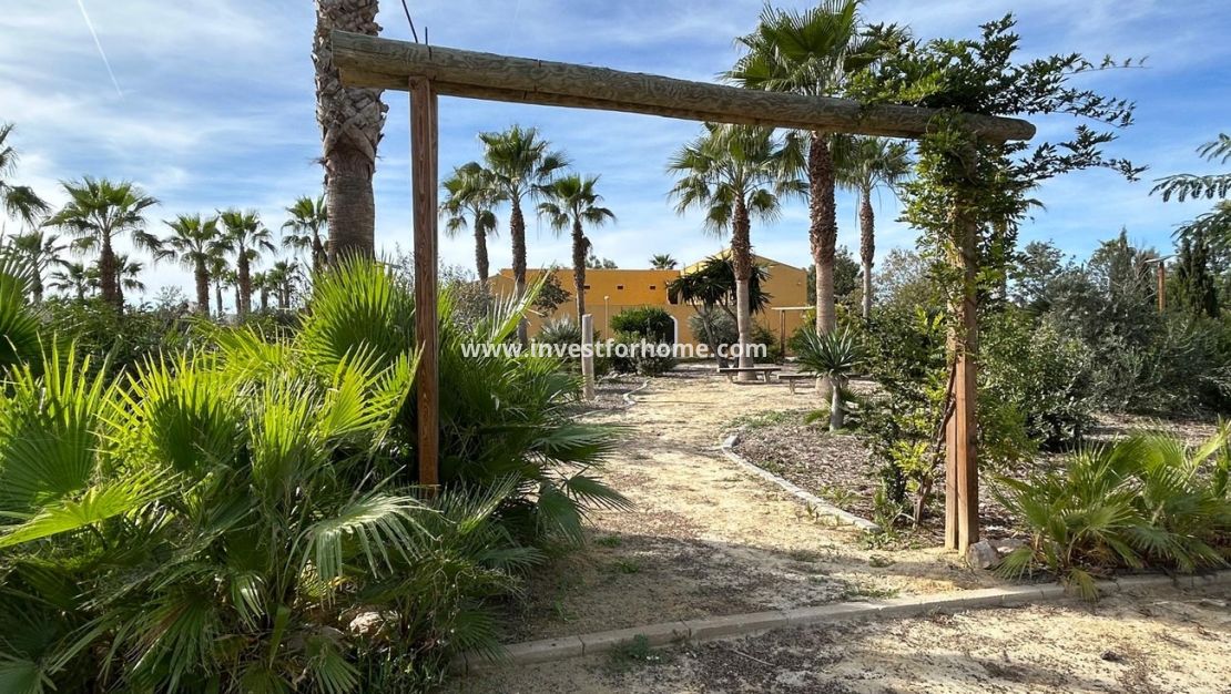 Sale - House - Dolores - Costa Blanca