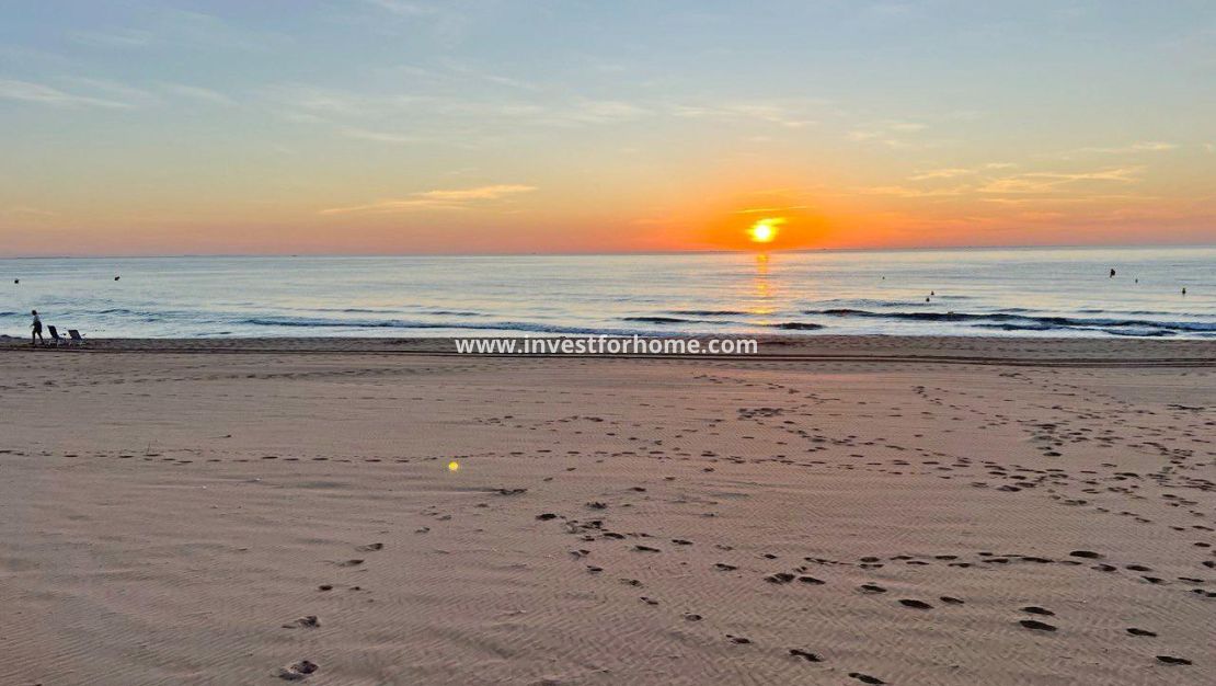 Sale - House - Guardamar del Segura - Benamor