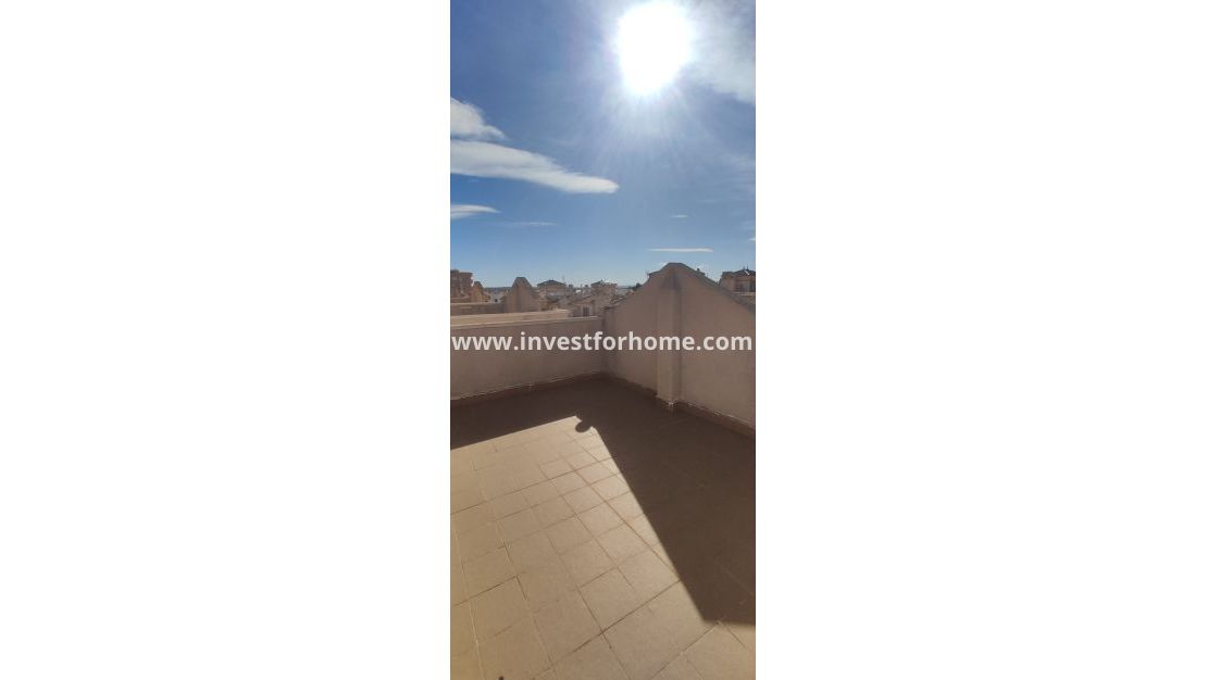 Sale - House - Guardamar del Segura - Costa Blanca