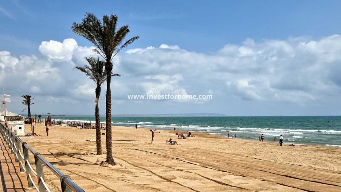 Sale - House - Guardamar del Segura - ELS SECONS