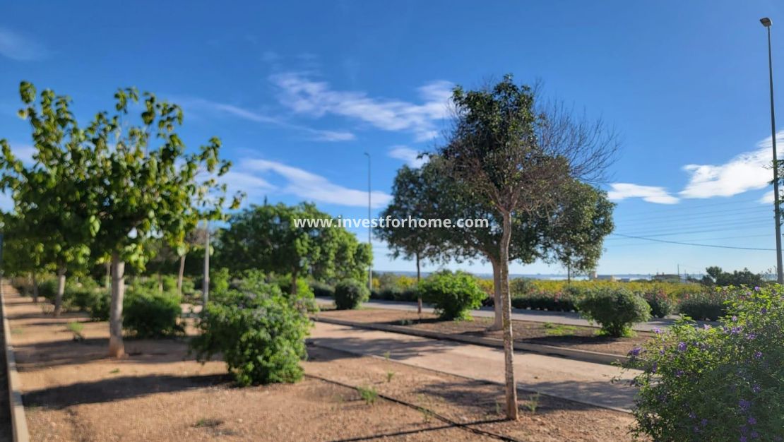 Sale - House - Los Montesinos - Los Montesinos - Urb. La Herrada