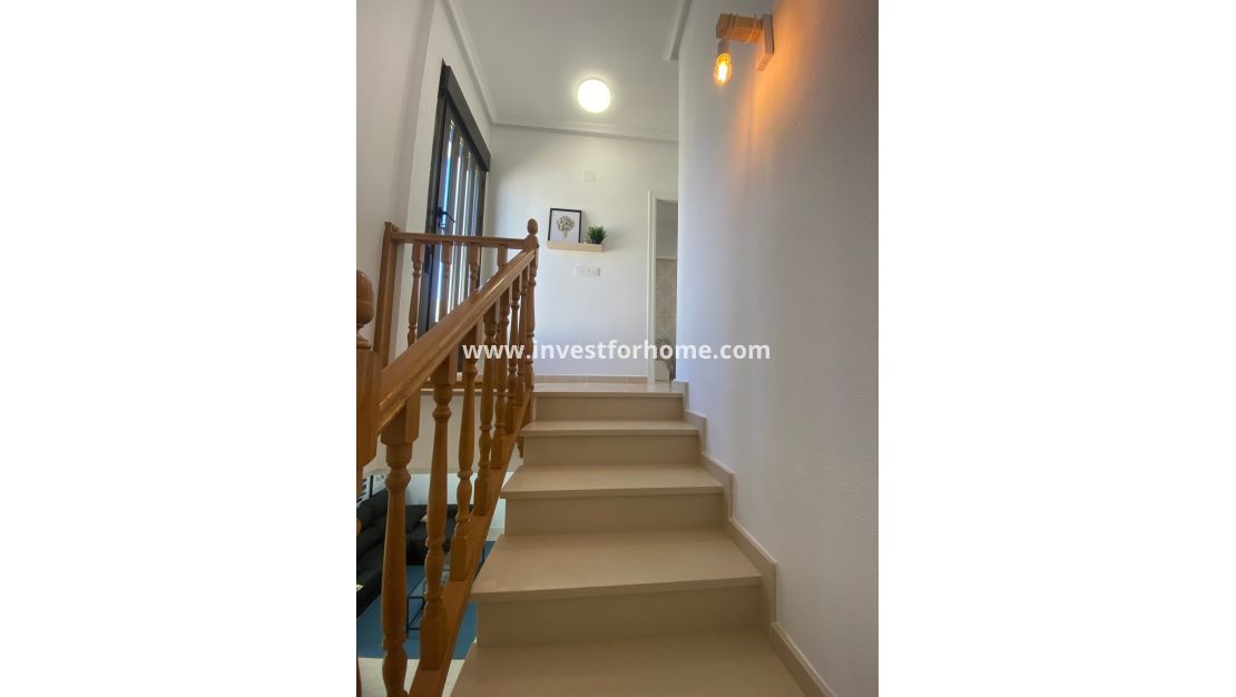 Sale - House - San Miguel de Salinas - Inland