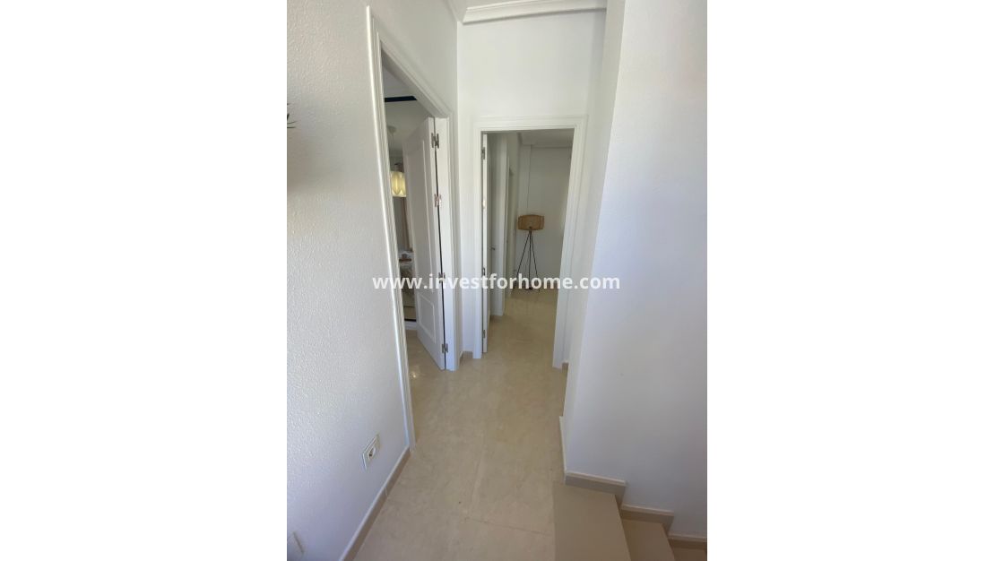 Sale - House - San Miguel de Salinas - Inland