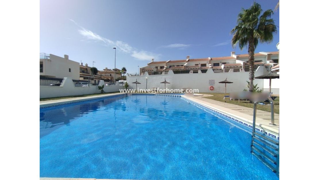 Sale - House - San Miguel de Salinas - Inland