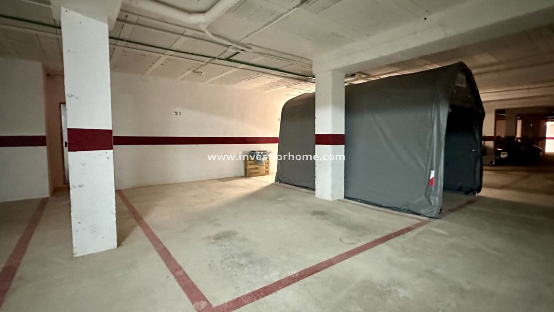 Sale - House - San Miguel de Salinas - Inland