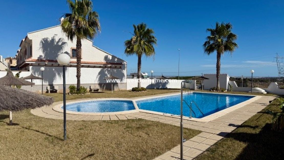 Sale - House - San Miguel de Salinas - Inland