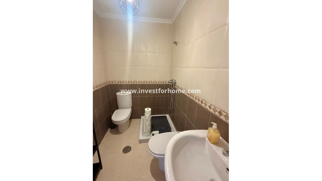 Sale - House - San Miguel de Salinas - Inland