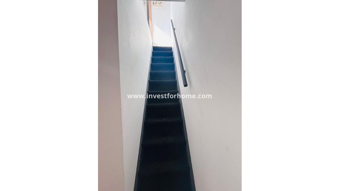 Sale - House - San Miguel de Salinas - Inland