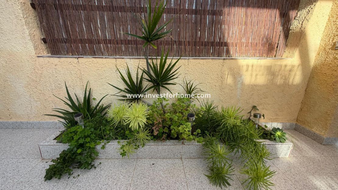 Sale - House - San Pedro del Pinatar - La Puntica