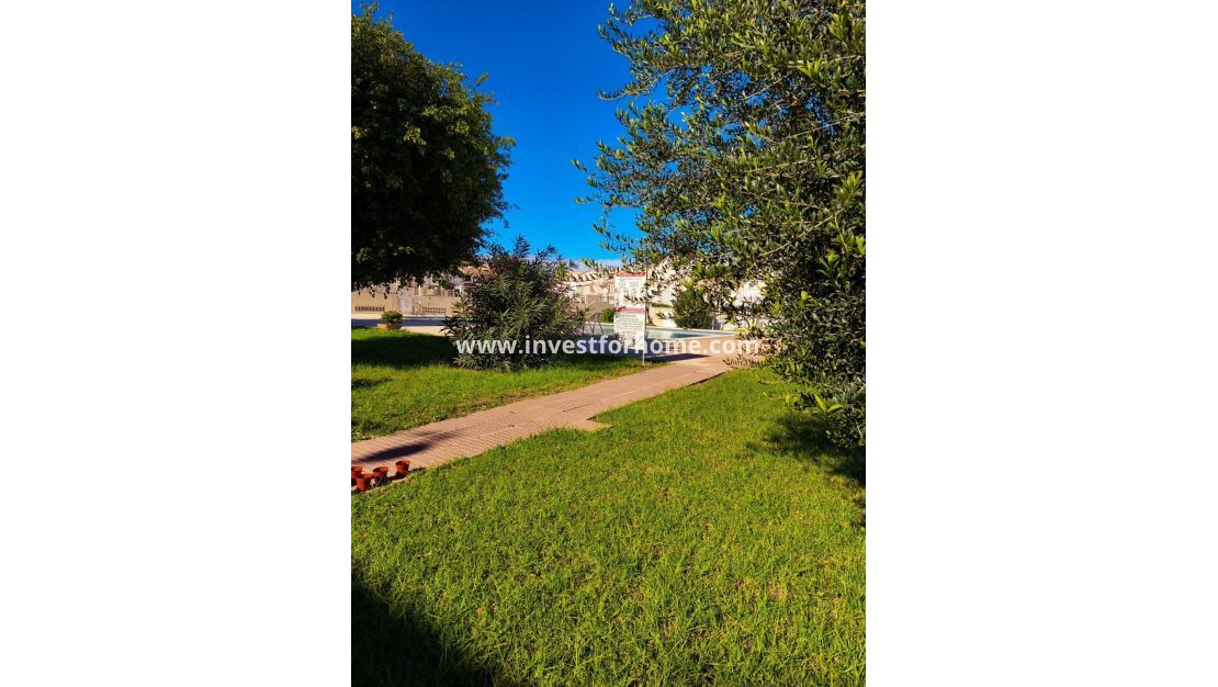 Sale - House - Torrevieja - Centro