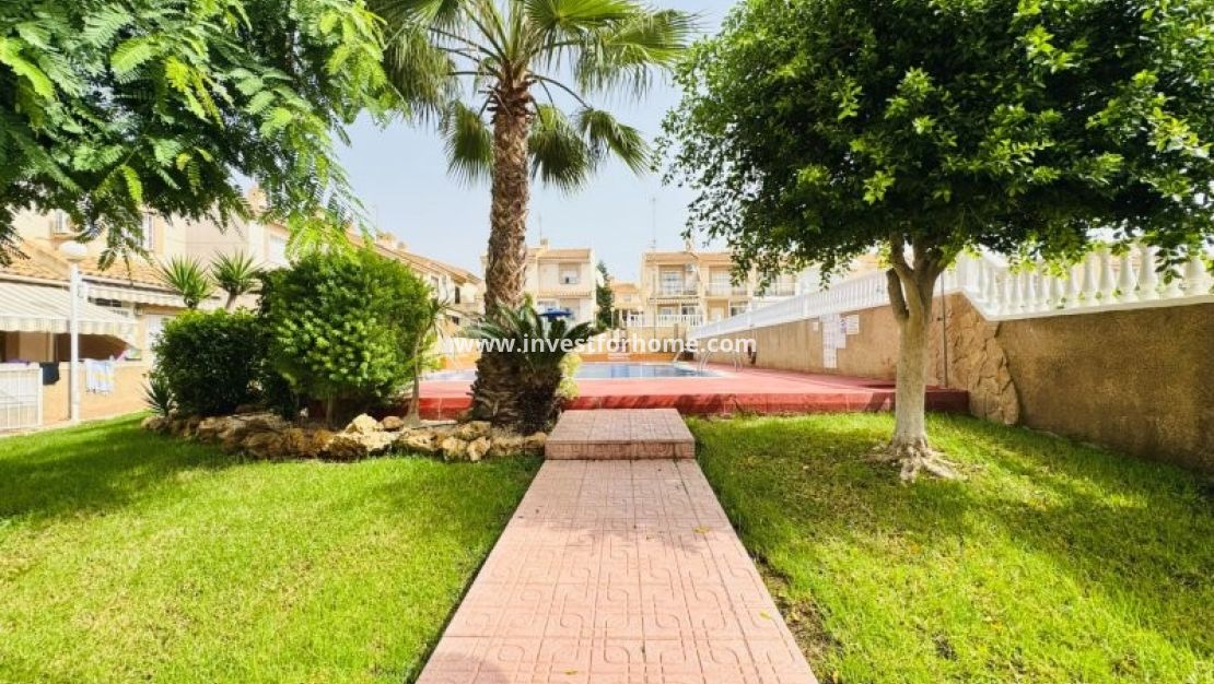 Sale - House - Torrevieja - Costa Blanca