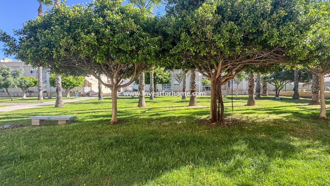 Sale - House - Torrevieja - Costa Blanca