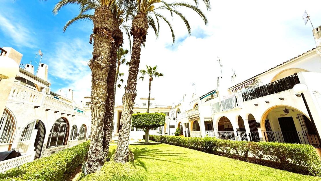 Sale - House - Torrevieja - El Chaparral