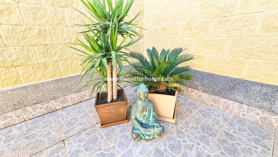 Sale - House - Torrevieja - El Limonar