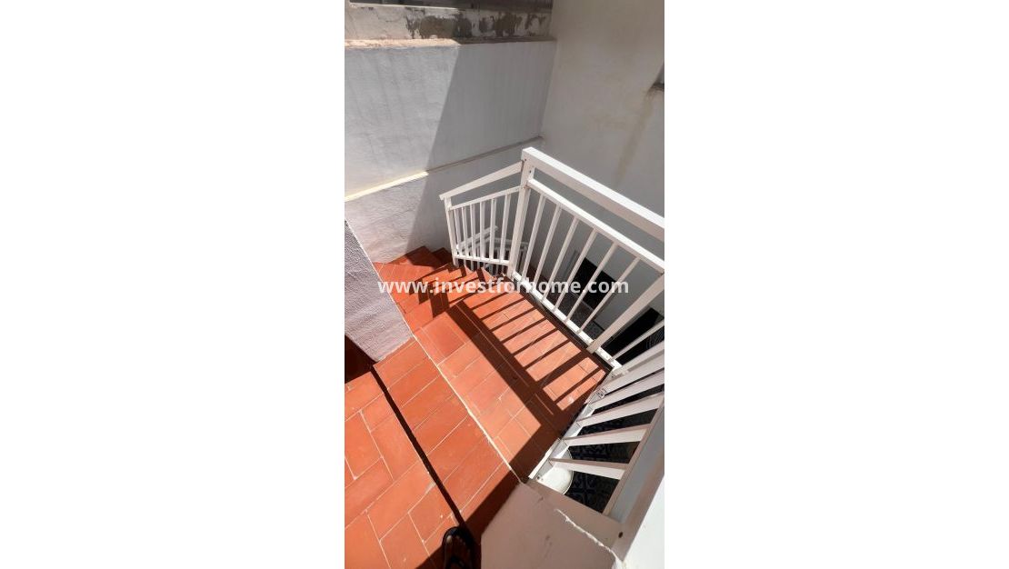 Sale - House - Torrevieja - Estacion De Autobuses