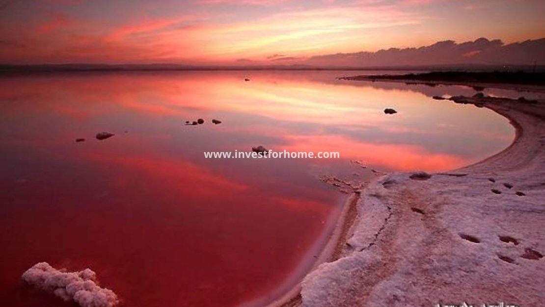 Sale - House - Torrevieja - La Siesta-El Chaparral