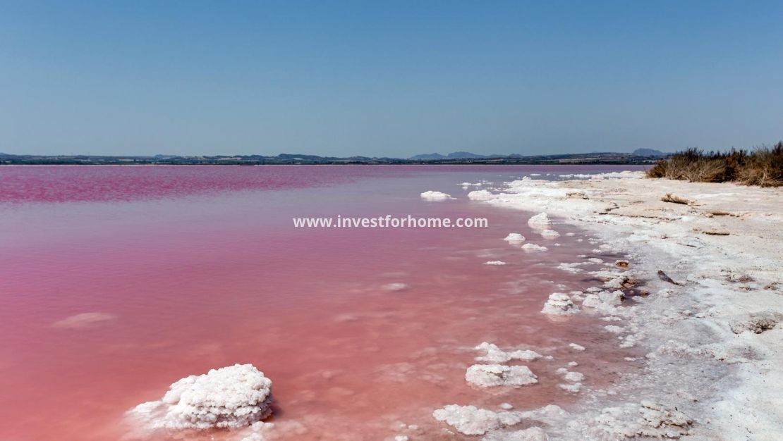 Sale - House - Torrevieja - Paraje Natural