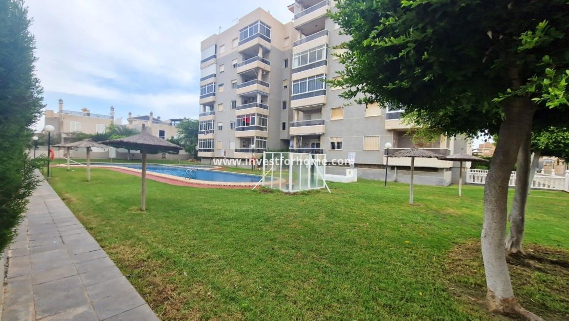 Sale - House - Torrevieja - Torrelamata - La Mata