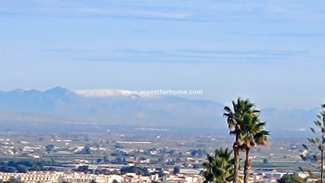 Sale - Villa - Algorfa - Inland