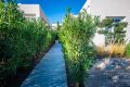 Sale - Villa - Algorfa - LA FINCA GOLF / ALGORFA